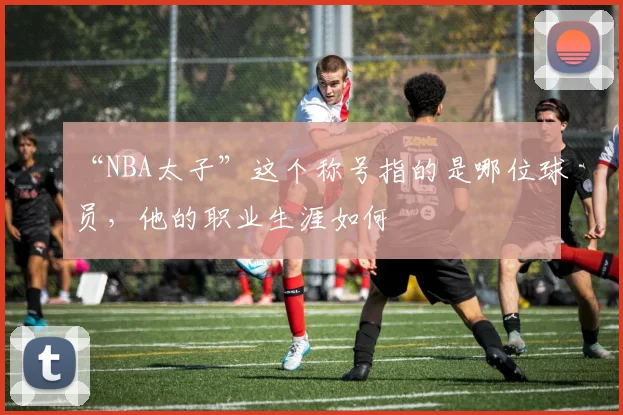 “NBA太子”这个称号指的是哪位球员，他的职业生涯如何